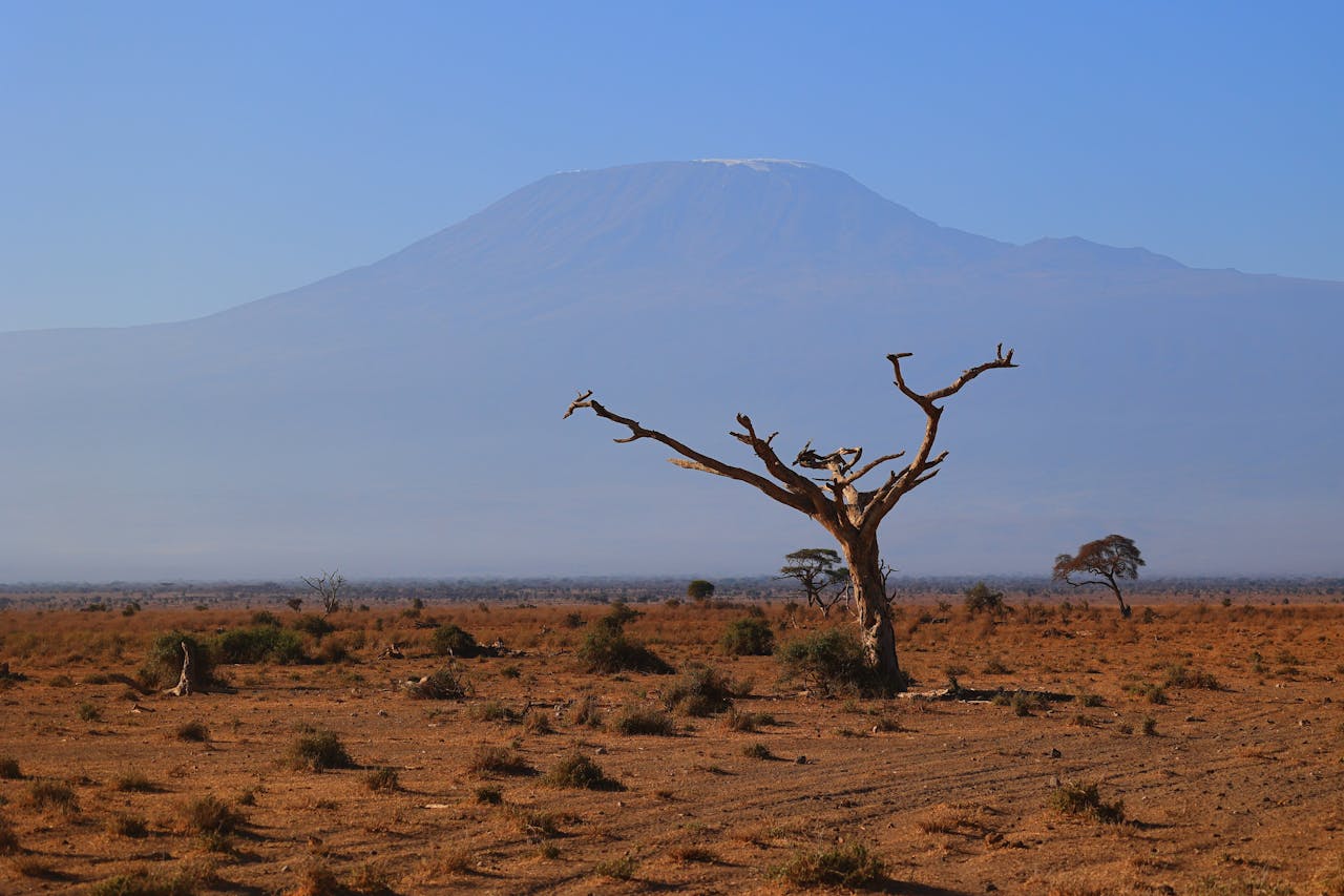 Scenic view of barren landscapes of Kajiado County, Kenya with Mount Kilimanjaro.